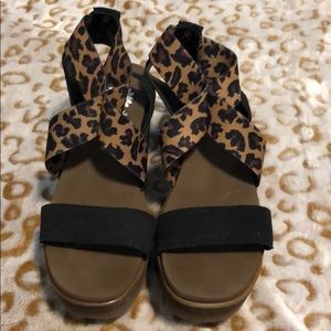 Cheetah wedge
